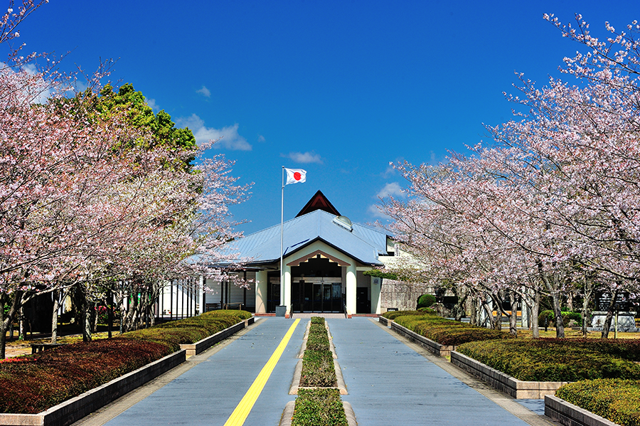 早田ひな　知覧特攻平和会館　知覧　中国　韓国　日本　反応